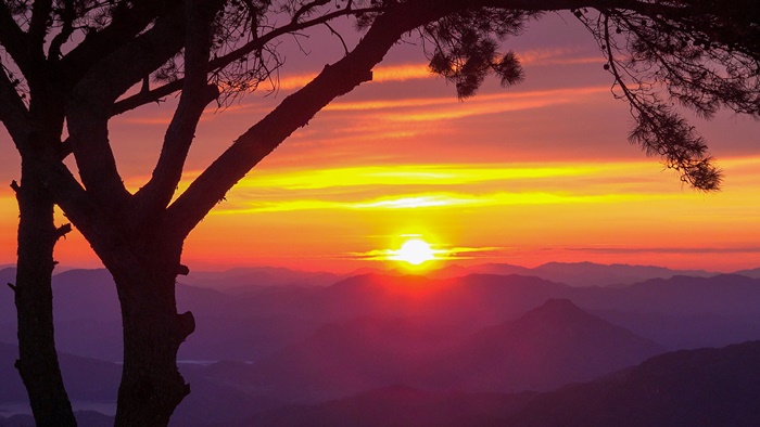 ��â ���ǻ� ������ ù ����