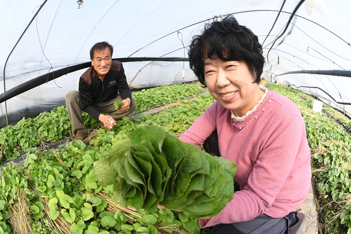 ������ �ּ֡��������� �յΰ� ��â ���� ����