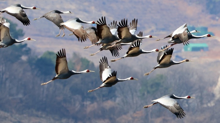 â�� �ֳ�������, �ܿ�ö�� ������ ���� �� �ϻ� ����