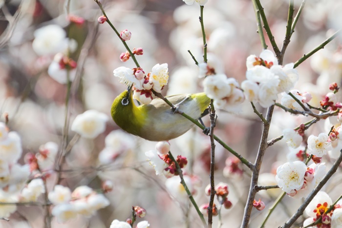 â�� �ֳ�������, �ܿ� ö�� ���� ���ڸ� ����ȭ�� �Ի����� ä���