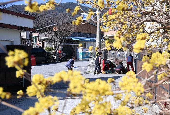 ���ݰ��� ����