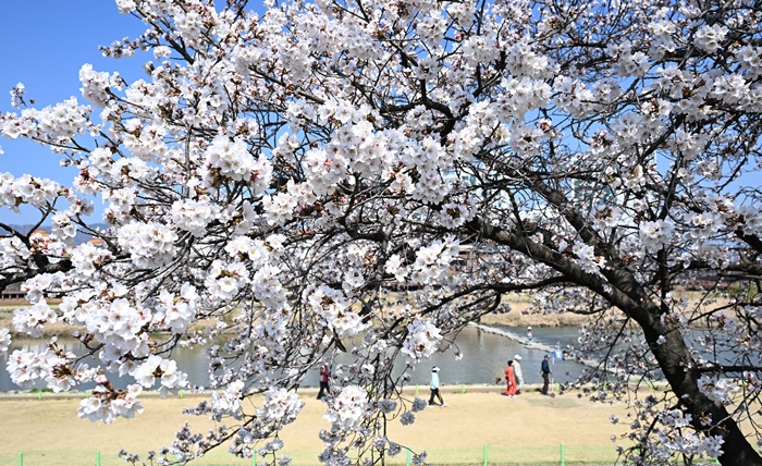 ���� ����, �� ġ�� ���� ��