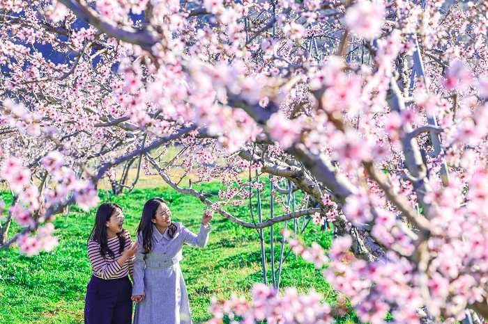 ��ȫ�� ���� �⿬������û���� '�����'�� ���ϴ� ���� ������ ����