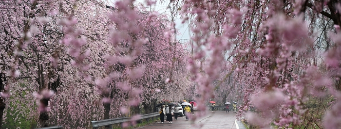 ���� �͵� ���ơ����������� ������ ��â �ɼ����ɱ�