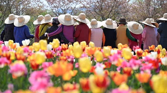 ����¤���� ���� ƫ�� �����ؿ䡮