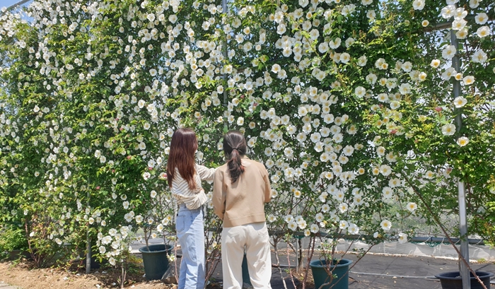 �������� '���������� �� �Ǵ�'