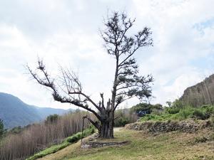   ϵ ξ縮 900  ೪ ' ' ڶ ȸ