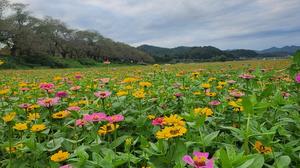 °æÁÖ½Ã, Çü»ê°º¯¿¡ 2¸¸ 8õ§³ ¹éÀÏÈ« Á¤¿ø Á¶¼º