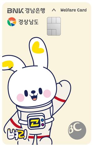 BNK泲, New 泲û  ī塯  