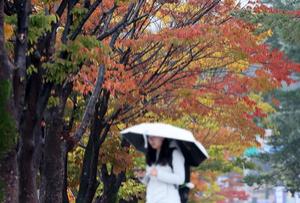 '10¿ùÀÇ ¸¶Áö¸· ¹ã' ºñ ¿Â µÚ ÝÁ¼ Âù °ø±â¡¤¡¤¡¤ÀÏ¿äÀÏ ³·ºÎÅÍ Ãß¿ö