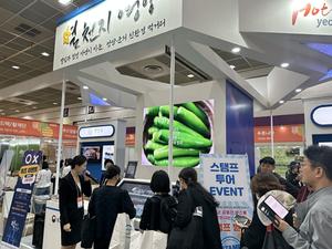 籺, 깰 ǰ Ƿΰô Ȱȭ