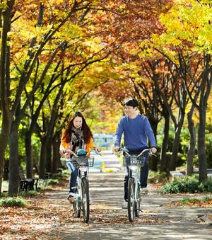 'ι ູ'â  Ÿ  ִ 7 ޴´