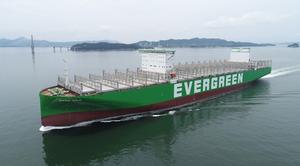 Ｚ߰, ̳ʿݼ 7ô 1.9 