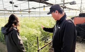 'ܿ￡ Ȱ Ȱ¦'â, Ȱ   