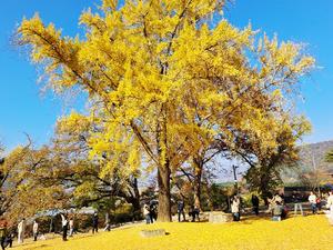 ָ , ֿ 屺 ãƿ͡ħ Ϸ 