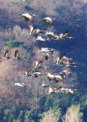 â����, �ֳ������� ���� ���� ����������AI �濪�� ���