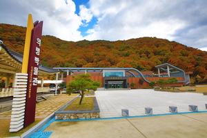 ������ '�̰��� �÷���', �̺�ö â��ȸ�� ���� �泲 �Ƿɼ� ���õȴ�