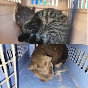 ������ ������ �д� �ǽɻ�� �յ��󡤡������� ���� ����