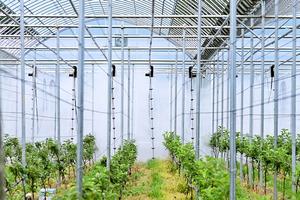 û�۱�, 2026�� ���� ����� ���� ��ǥ