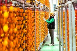 '����� ���� ��ǰ ����'�������ԾȰ������� 23��25�� ����