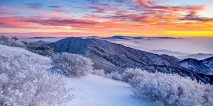 �ɼ��� ������ �ܿ��� ����ü