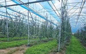 ��ϵ�, ���� ����Ʈ��� ������ Ȯ���� 2�� ���� ����