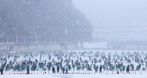 �ָ� ��ǳ���ִ� 20cm �̻� �������������� ����溸 '����'��