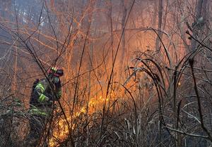 ��� �Ǽ� ������� �ֺ���ȭ������