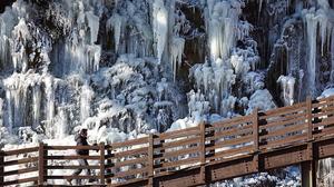 �ָ����� ���屺 '����'���������� �ֿ��� ������ ����