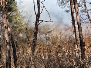 ��ȭ��, ���� ��� ��ȭ�� 80%, �ϸ� �� ���� �ѷ�