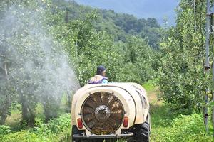 û�۱�, ������ �δ� ���̰� ����� ���δ�