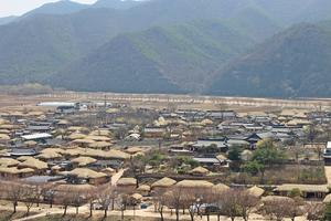 '���뿡 ���ϰ� �߰濡 ���ϴ�' ��Ϲ�ȭ�������簡 �����ϴ� '�ȵ� �� ����'