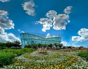 ��ââ����, ��ȭü�������� ����2�� ����100�� ����