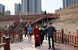 ������ �泲������ 