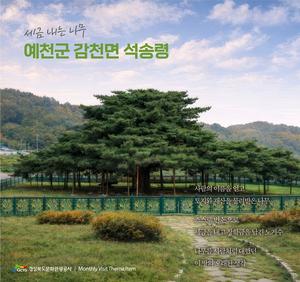 '�� �ڸ��� ���� �� �ִ� �͵�' ���ϴ� ���� �� ������ ���� �͵�, ��� ��ż� ��å