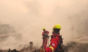 '9�� ����� �� ��û ���' �������� å�� �泲��û ������ 3�� ��ġ