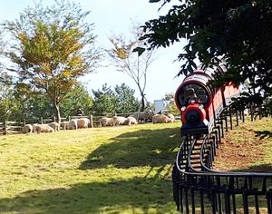 ���� ���Ҹ����� 