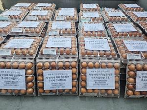 ��õ�����ȸ �� �Դ����� �� �빮������, ��� ����