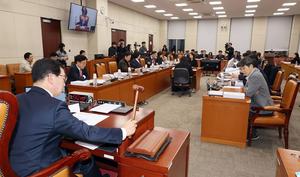 ��ȸ �����, �������� �� �뱸��� �� �泲���� ��������Ư���� �ǰ�