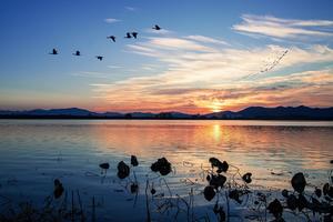 â�� �ֳ������� �������� ����, �������÷翣�� ������