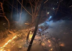 �Ծ� ��� 2�ܰ� �߷ɡ�������ҿ��ⱸ�� 100ha �Ѿ�