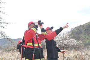 û�۱�, �����뺸�� ���� ��ҹ��� Ư����å ����