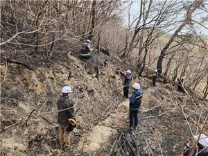 �긲û, �о硤�Ծ� ��������� ����� ��� �������