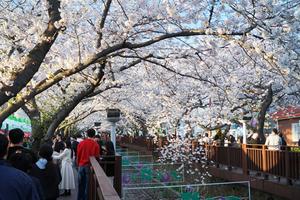 â���� ��ǥ �� ���� ���ر�����, ��ü�� �������� ����