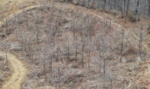 �긲û ����������������, �췮 ���� ������ ���� ä���Ӻ� ȯ�氳����� ����