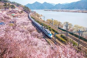 ��ȭ���� ���� �� ��ä �� ö�߱����������泲 ���� ���� 18�� '����'