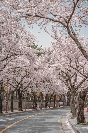 ������ ��� 3�� �� ���� 3��