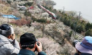 �� �� �� �ָ� �ɻ�������������ħ ���� -8��