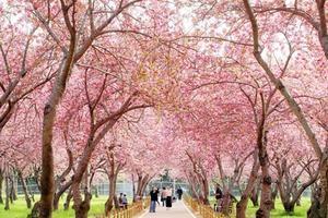 ���� �������ɴ���, ���ص� ������ ���� 27�Ϻ��� ����