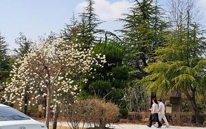 ������ ������ ���ı��� ���񡤡����ߺδ� �̼����� '����' ����